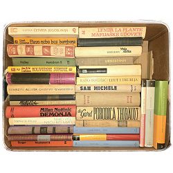 SET 30 MIJEŠANIH KNJIGA 