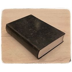 Sjećanja iz Trećeg Reicha Albert Speer / otpis