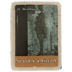 spleen-pariza-charles-baudelaire-3444-x241-35_50447.jpg