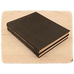 STILOVI, NAMEŠTAJ I DEKOR OD SREDNJEG VIJEKA DO DANAS I-II Daniel Alcouffe