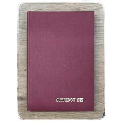 Susjedov sin Josip Jurčič