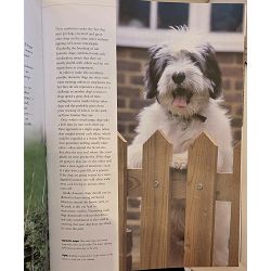 the-complete-book-of-the-dog-sarah-whitehead-63017-x304-58_66915.jpg