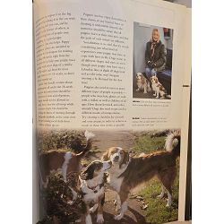 the-complete-book-of-the-dog-sarah-whitehead-6485-x304-58_66916.jpg