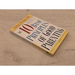 the-ten-basic-principles-of-good-parenting-28528-x312-25_67211.jpg