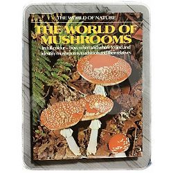 The World Of Mushroom Uberto Tosco