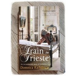 Train to Trieste Domnica Radulescu