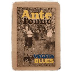 vegeta-blues-ante-tomic-38955-x243-67_51049.jpg