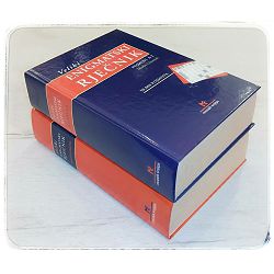 Veliki enigmatski rječnik 1-2 Martin Ojsteršek