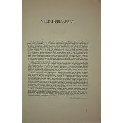 veliki-pellaprat-henri-paul-pellaprat-29785-kuh-726_68759.jpg