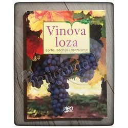 Vinova loza - sorte, sadnja i orezivanje Eliana Feriloi