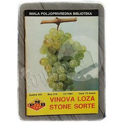 Vinova loza – stone sorte