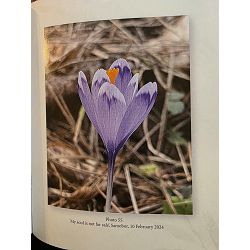 you-belong-to-the-woods-ana-klikovac-95412-x310-16_67004.jpg