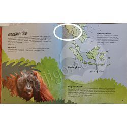 zaljubi-se-u-orangutane-stefan-casta-67016-s-306_25624.jpg