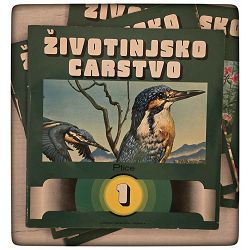 zivotinjsko-carstvo-1-4-47897-x299b-26_70310.jpg