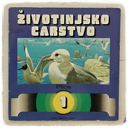zivotinjsko-carstvo-ptice-broj-1-65346-x243-6_50808.jpg