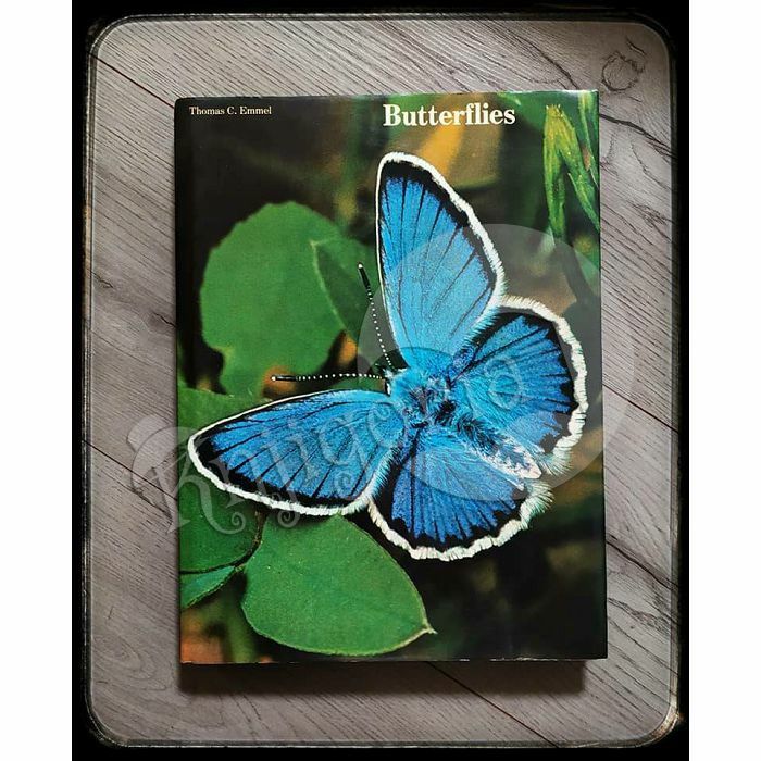Butterflies - Leptiri Thomas C. Emmel
