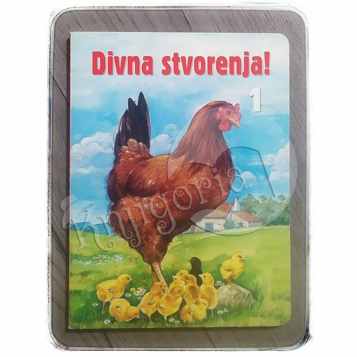 Divna stvorenja 1 Đurđica Šokota 