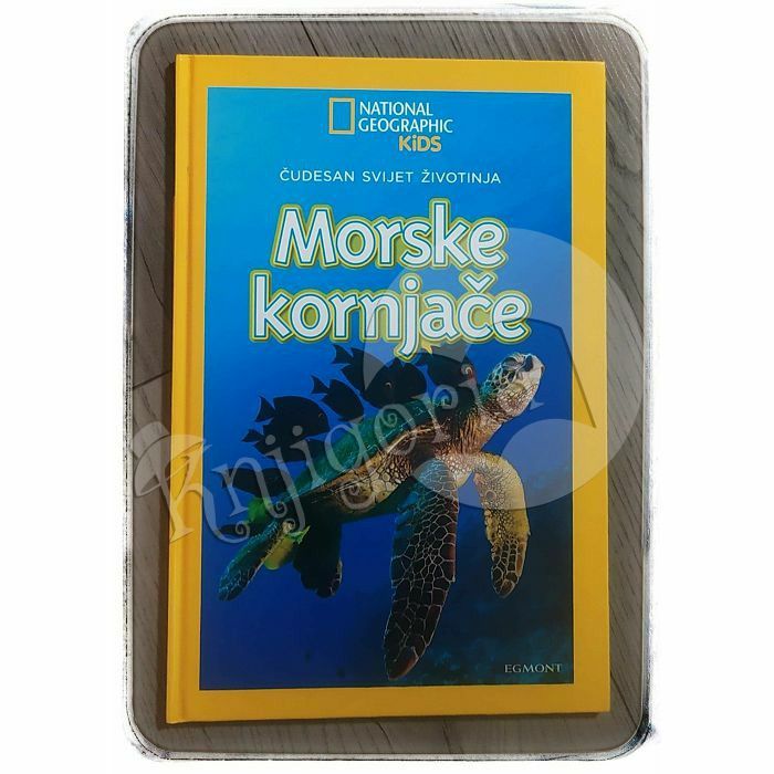 Čudesan svijet životinja: Morske kornjače