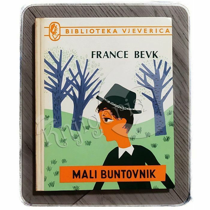 Mali buntovnik France Bevk 