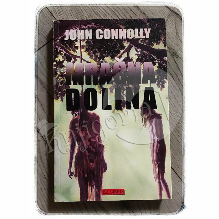 Mračna dolina John Connolly