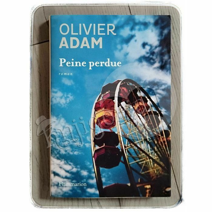 Peine perdue Olivier Adam