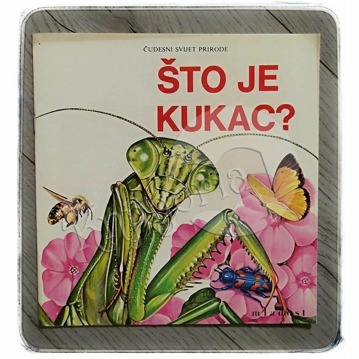 Čudesni svijet prirode: Što je kukac? Jenifer W. Day