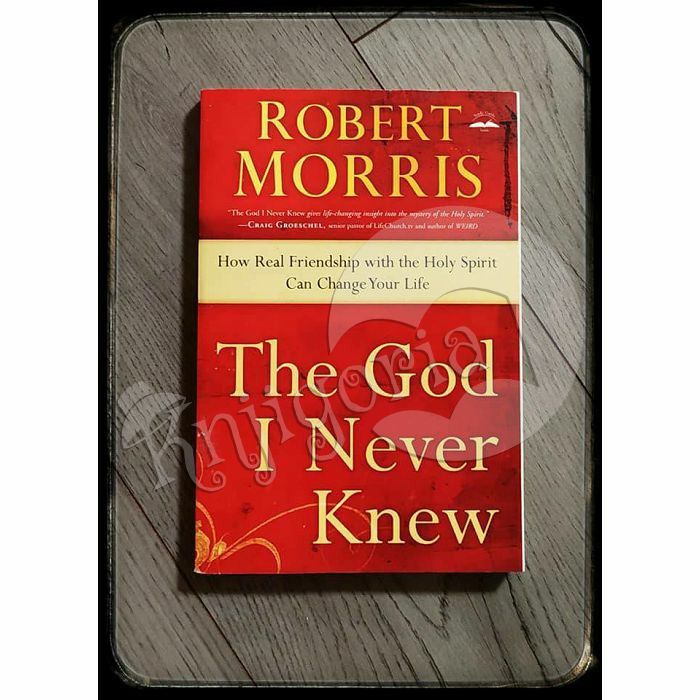 The god I never knew: How real friendship with the holy spirit can change your life Robert Morris