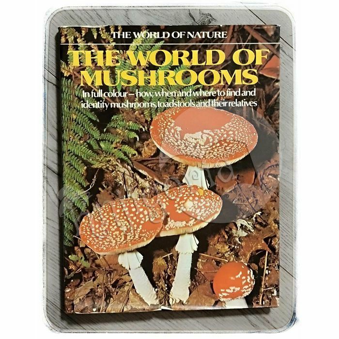 The World Of Mushroom Uberto Tosco