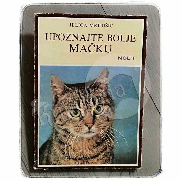 Upoznajte bolje mačku Jelica Mrkušić