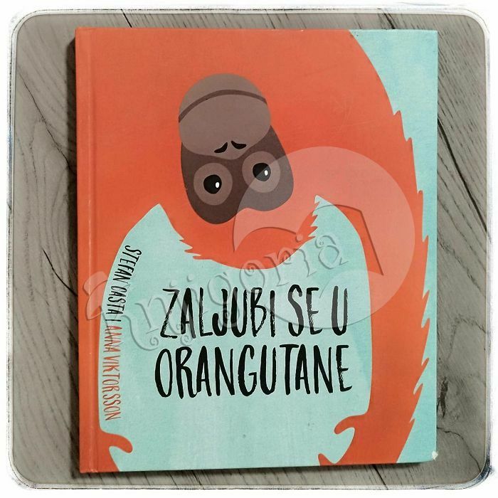 Zaljubi se u orangutane Stefan Casta