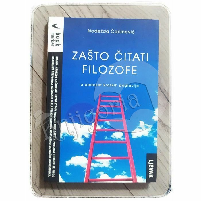 Zašto čitati filozofe: U pedeset kratkih poglavlja Nadežda Čačinovič